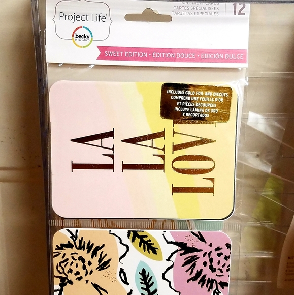 NWT Project Life SPECIALTY CARDS 12-PK ×2 SETS! - Picture 3 of 8